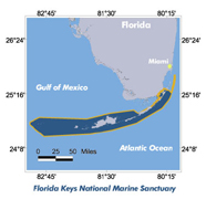 Graphic of Florida Keys NMS location
