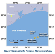 Graphic of Flower Garden Bank NMS location