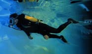 Image of SCUBA diver