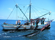 Photograph of a shrimp boat