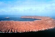 Photograph of one of the Galapagos Islands