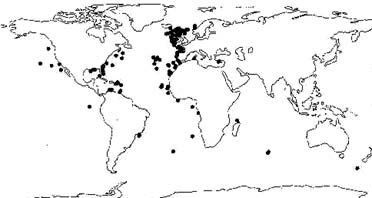 Global distribution of Lophelia pertusa corals.