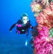 Image of diver near reef slope