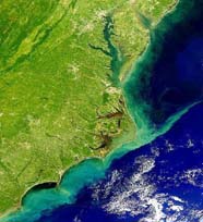 Remote sensing (SeaWiFS) image shows sediment stirred up along North Carolina by Hurricane Floyd