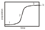 Graphic of sigmoid curve