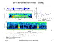 Chart showing The signature sound of a toadfish.