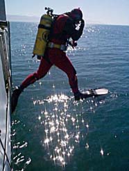 Image of diver entering water