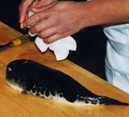 Image of chef preparing fugu