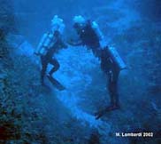 Image of NOAA divers