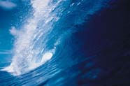 Image of ocean wave