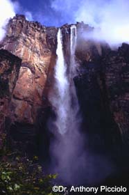 Image of Angel Falls, Venezuela