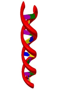 Graphic depicting DNA double helix