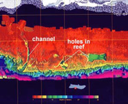 Graphic of SHOALS image