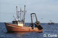Image of bottom trawler