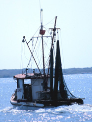 Photograph of a shrimp boat