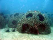 Photo of Reef balls
