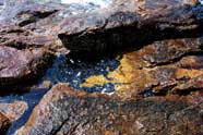 Photo of a tidal pool