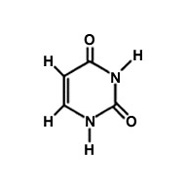 Diagram of uracil